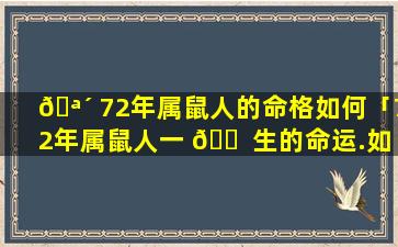 🪴 72年属鼠人的命格如何「72年属鼠人一 🐠 生的命运.如何」